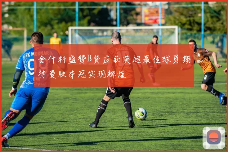 舍什科盛赞B费应获英超最佳球员期待曼联夺冠实现辉煌