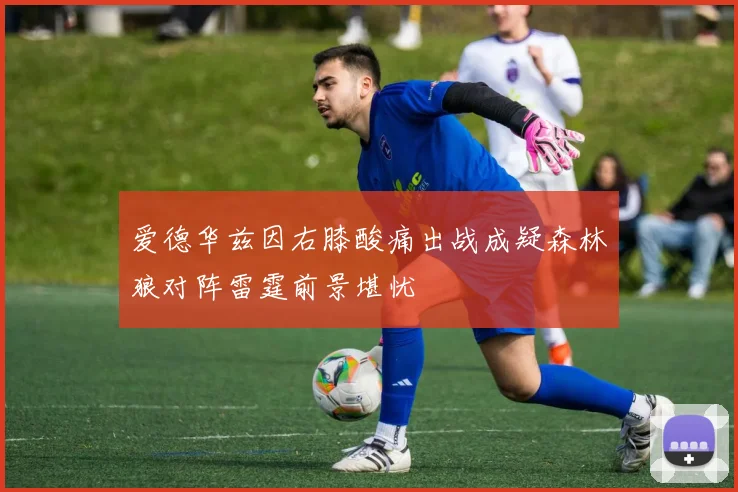 爱德华兹因右膝酸痛出战成疑森林狼对阵雷霆前景堪忧