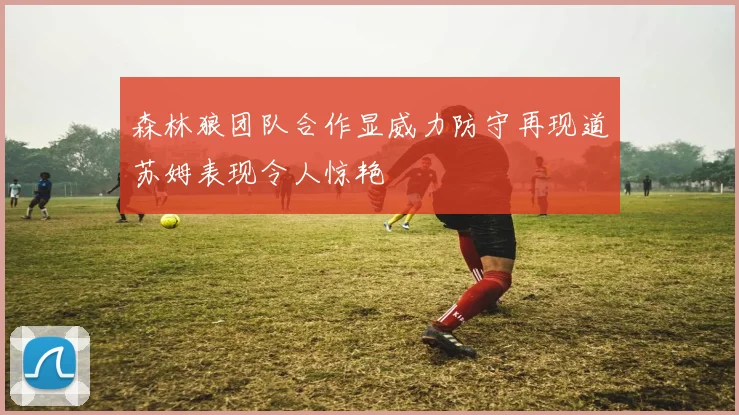 森林狼团队合作显威力防守再现道苏姆表现令人惊艳